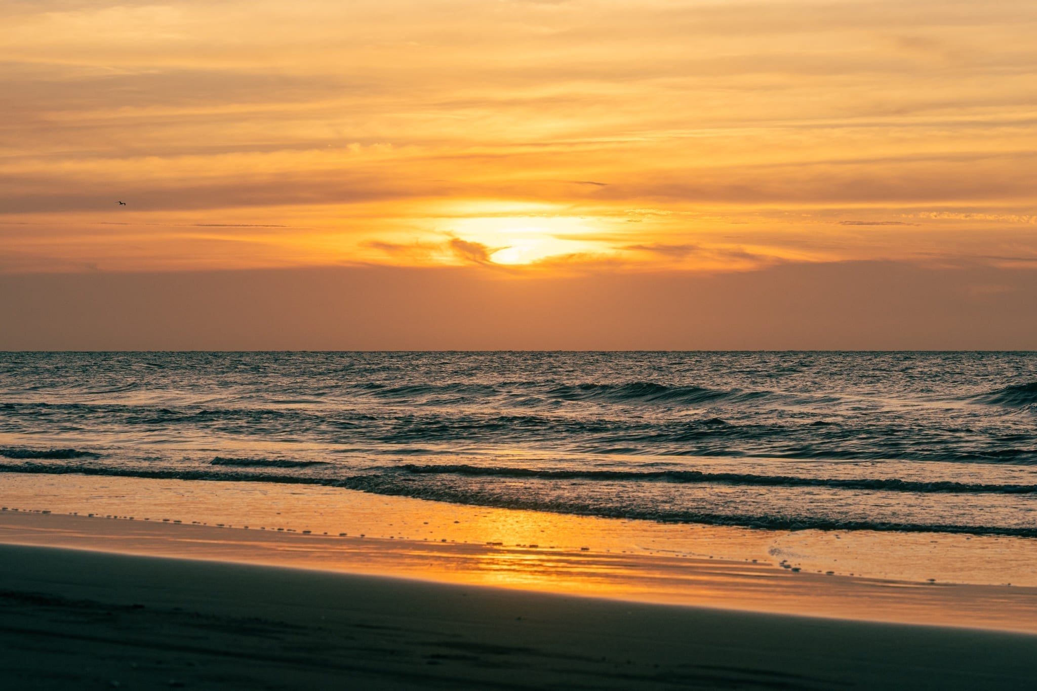 Cuero, sol y propósito: Verano 25/26