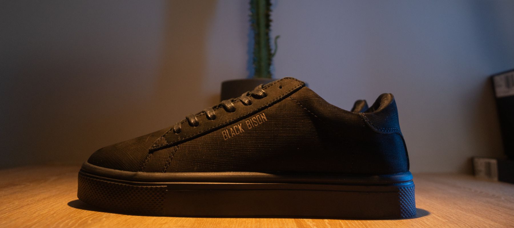 Banner_pie_de_pagina_inicio_BB