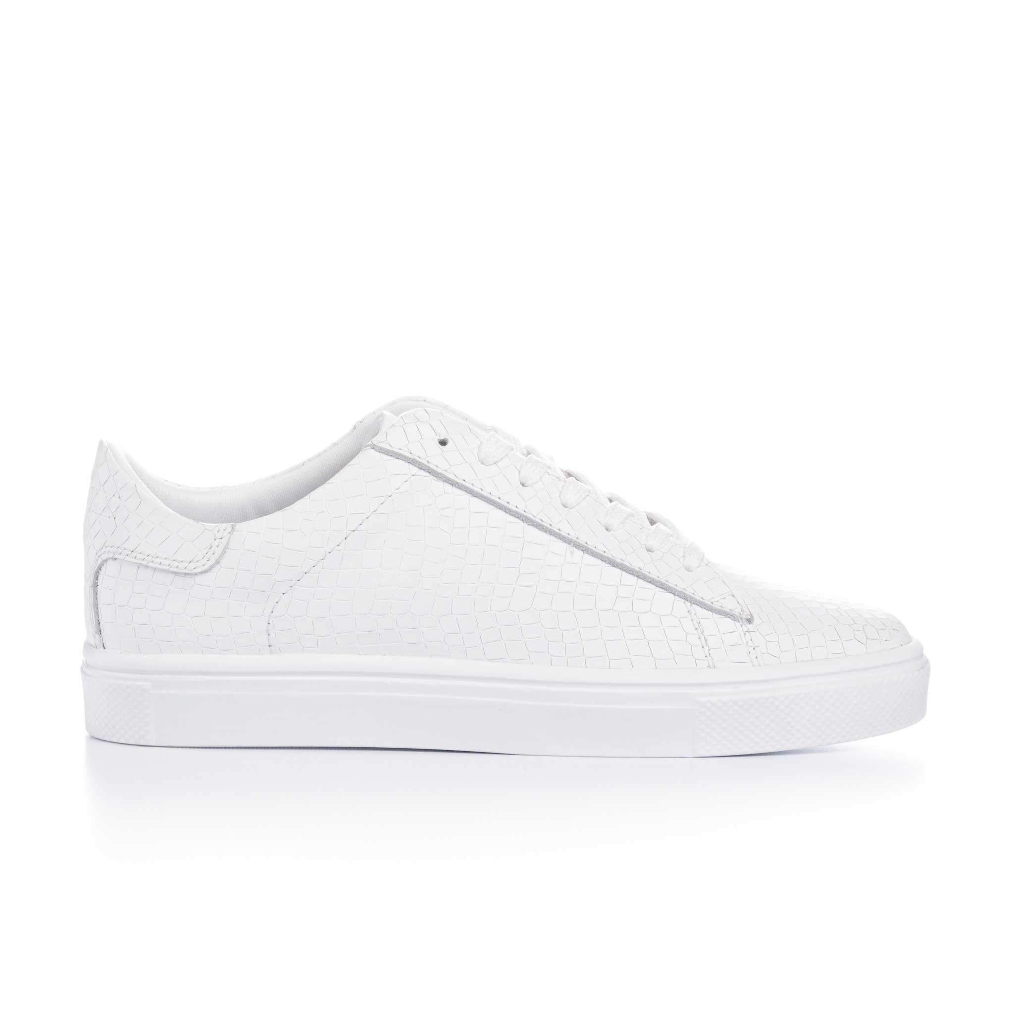 Escamas Blanco 1778 - BLACK BISON