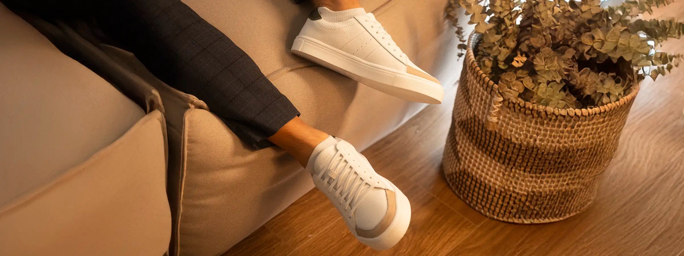 banner inicio 806 blanco