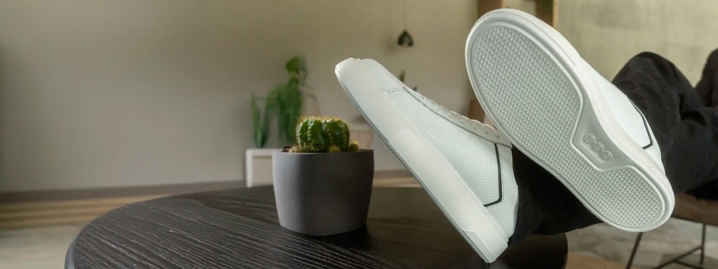 Banner inicio 807 blanco