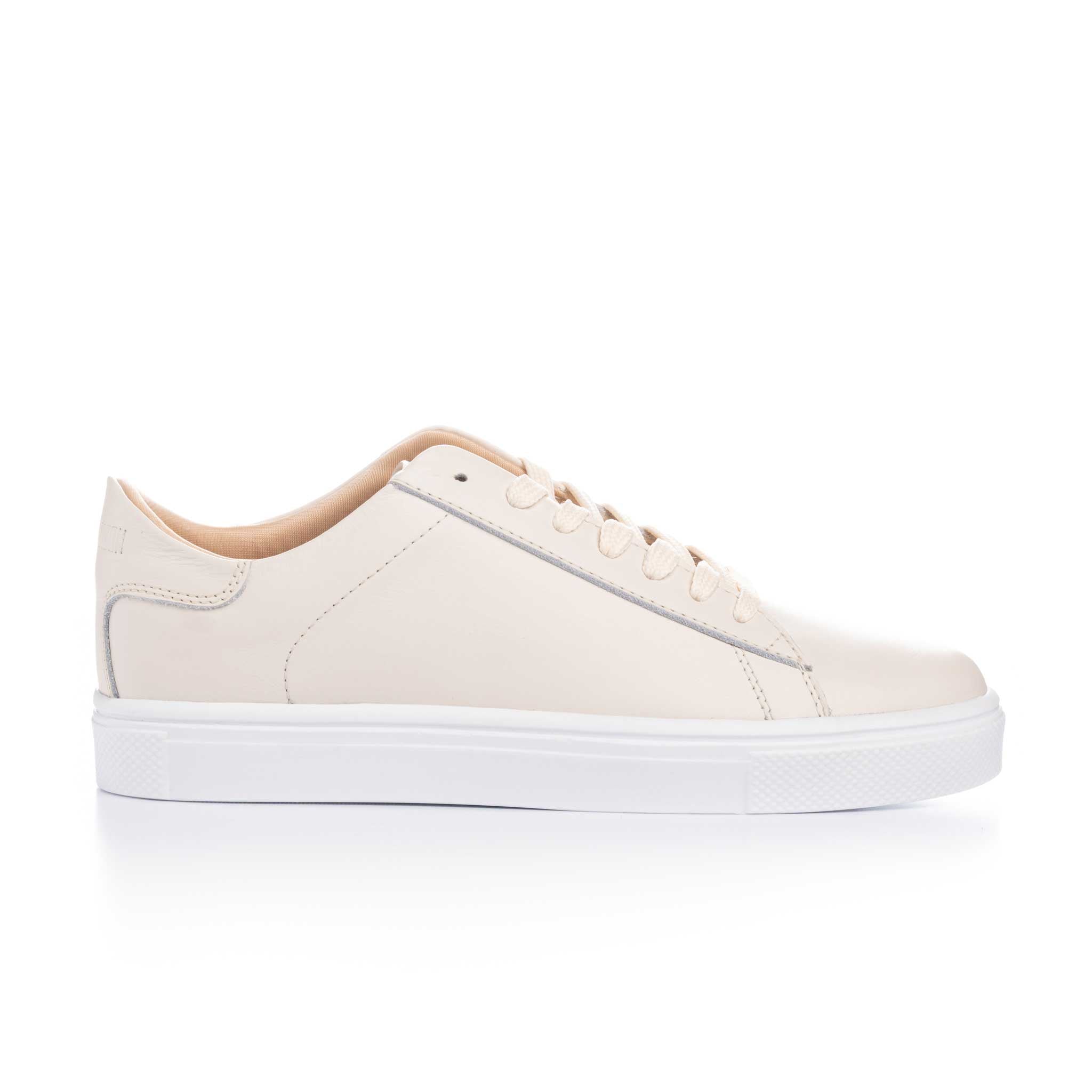Beige Liso 1779 - BLACK BISON
