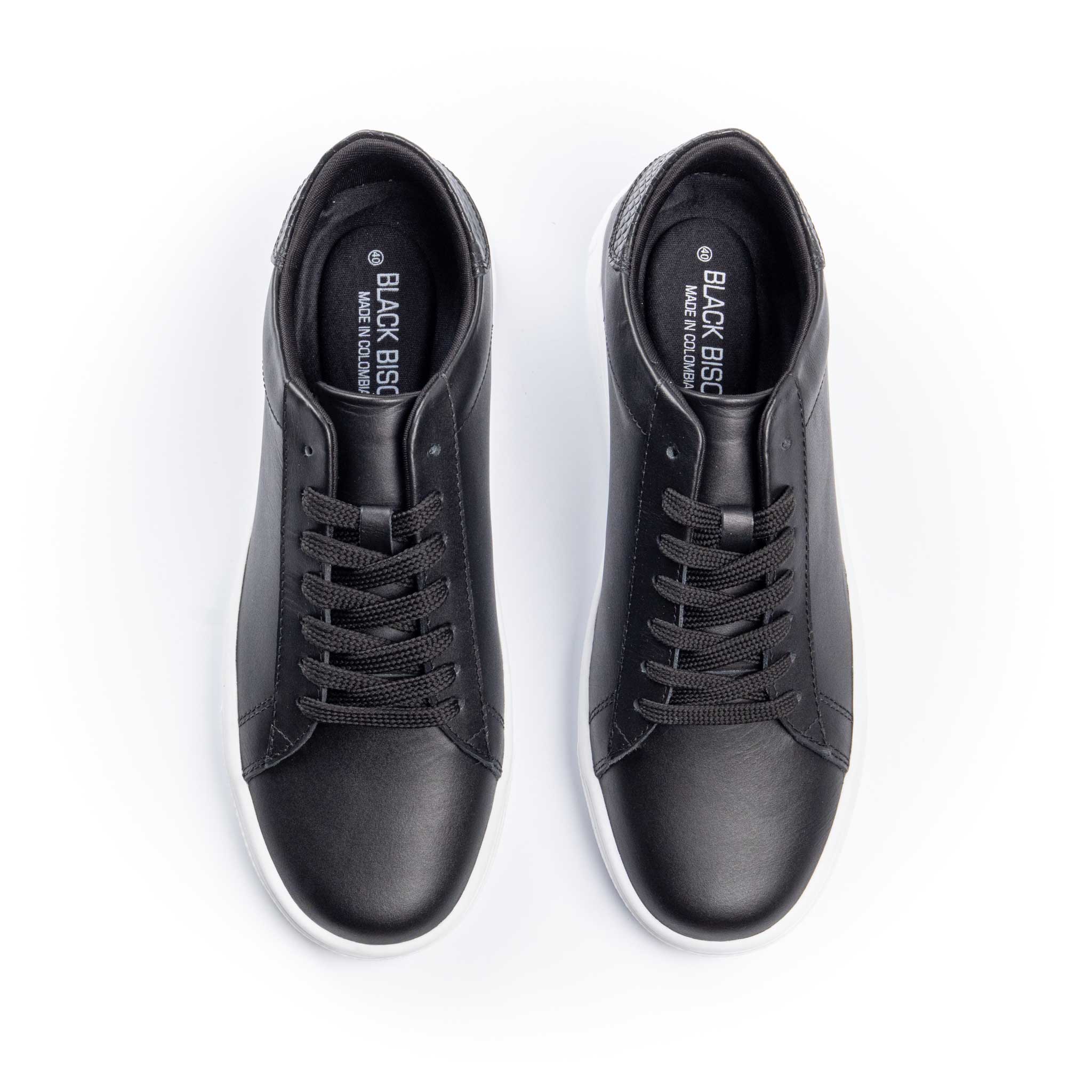 Negro Liso - Galleta 1786/87 - BLACK BISON